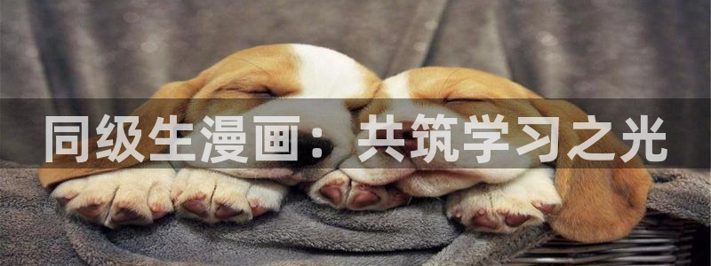 歪歪漫画网下拉：同级生漫画：共筑学习之光